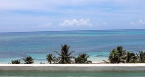 Pool - Apt Guacamaya: Balcony, Views, & Shared Pool (Puerto Morelos)