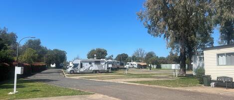 A campsite with RVs parked on a paved area, surrounded by trees and a clear sky.