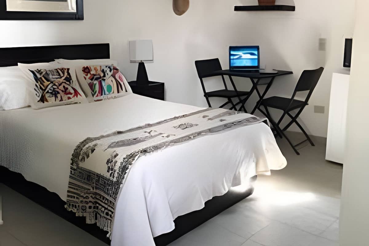 A bed with patterned pillows, a bedside lamp, a desk with a computer, a chair, and a potted plant.