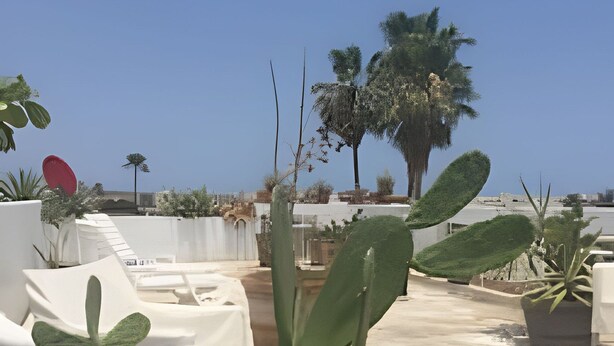 Un jardín en la azotea con cactus en macetas y una palmera, mobiliario exterior blanco y un cielo azul despejado.