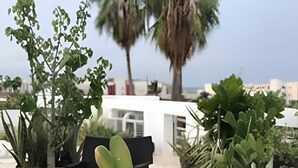 Una terraza con plantas en macetas, mobiliario exterior y vista a edificios al fondo.