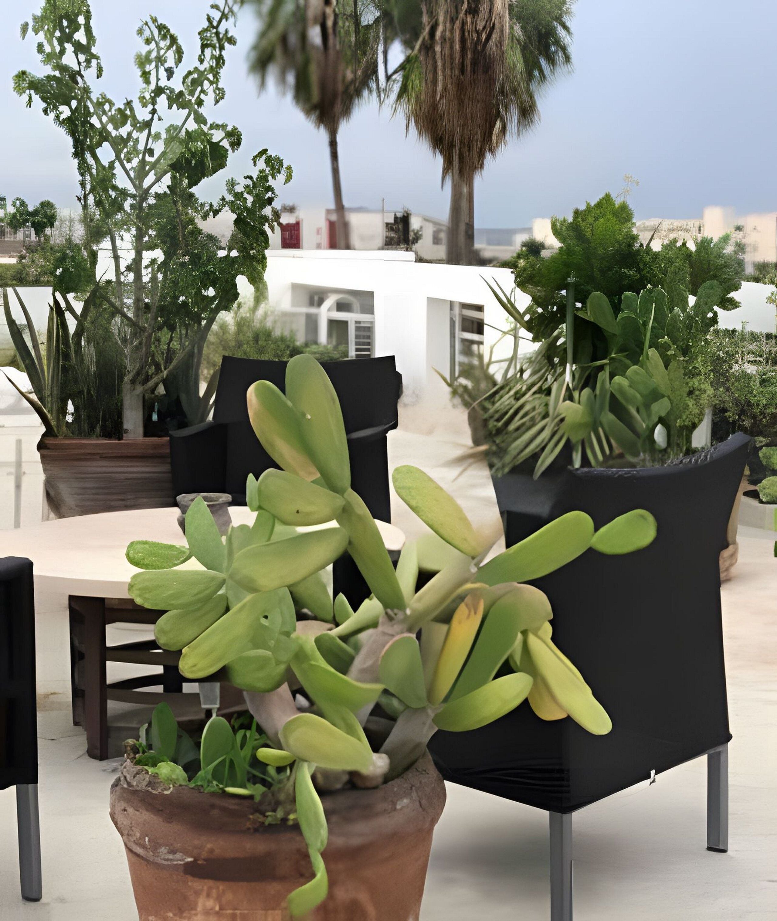 Studio Tiêu chuẩn | Khu ẩm thực ngoài trời