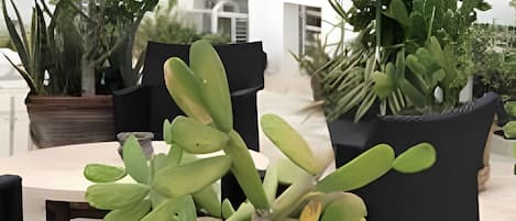 Standard Studio | Outdoor dining