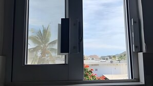Una ventana con vista a un edificio y una palmera.