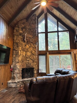 Smart TV, fireplace, video games, DVD player