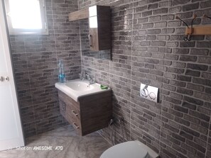 Shower, hair dryer, bidet, towels