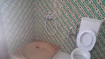 Chuveiro, secador de cabelo, bidĂȘ, toalhas de banho