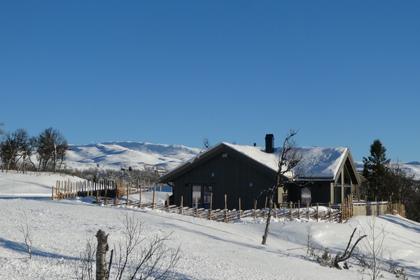 Eksteriør