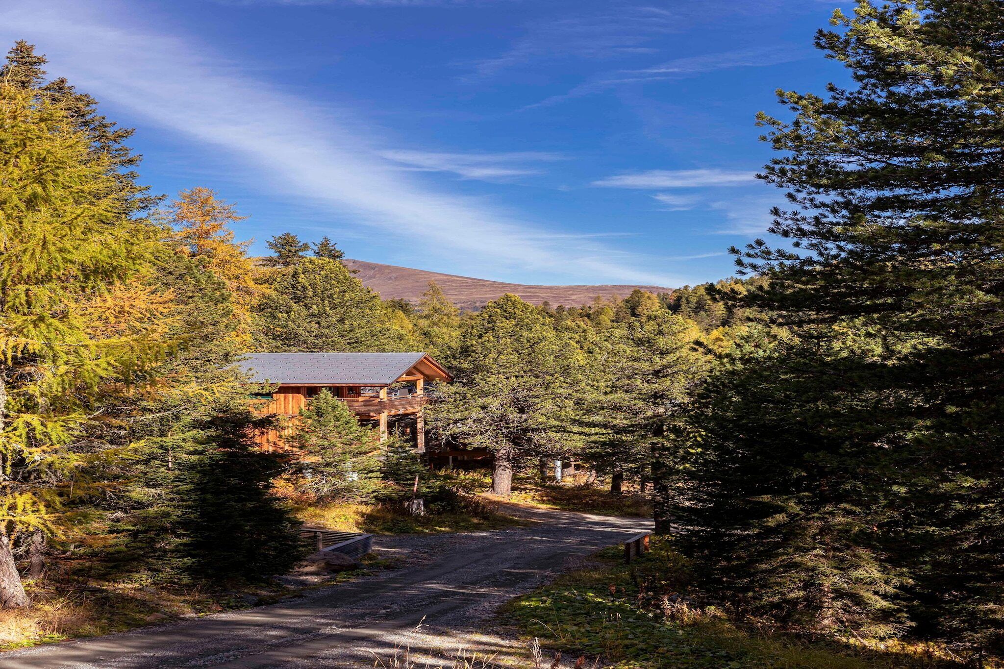 Un chalet entouré d’une forêt dense, avec un ciel dégagé et une montagne en arrière-plan.