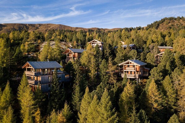 A cluster of wooden cabins surrounded by dense forest, with multiple levels and balconies.