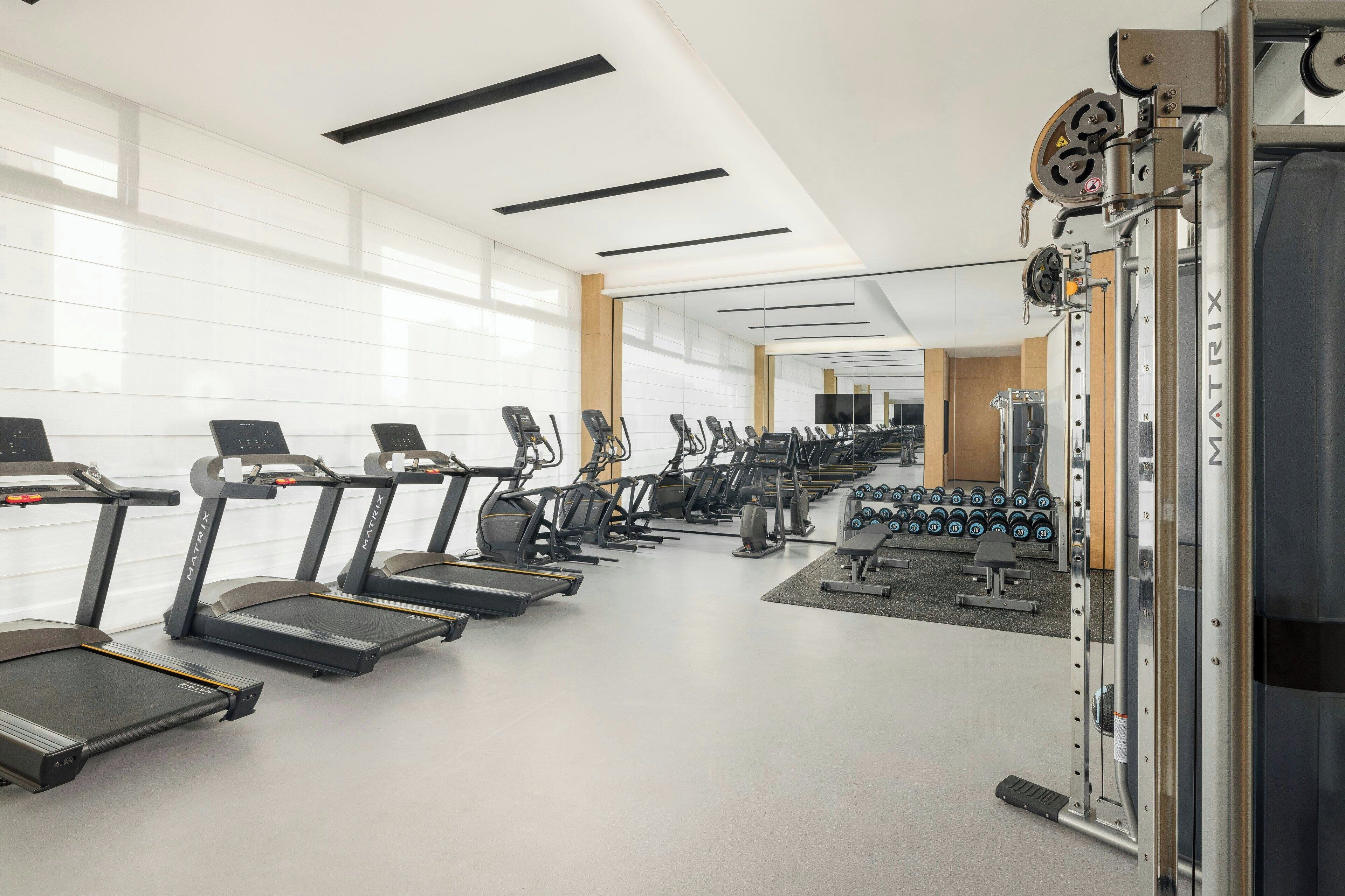 A modern gym with treadmills, weight machines, and dumbbells.