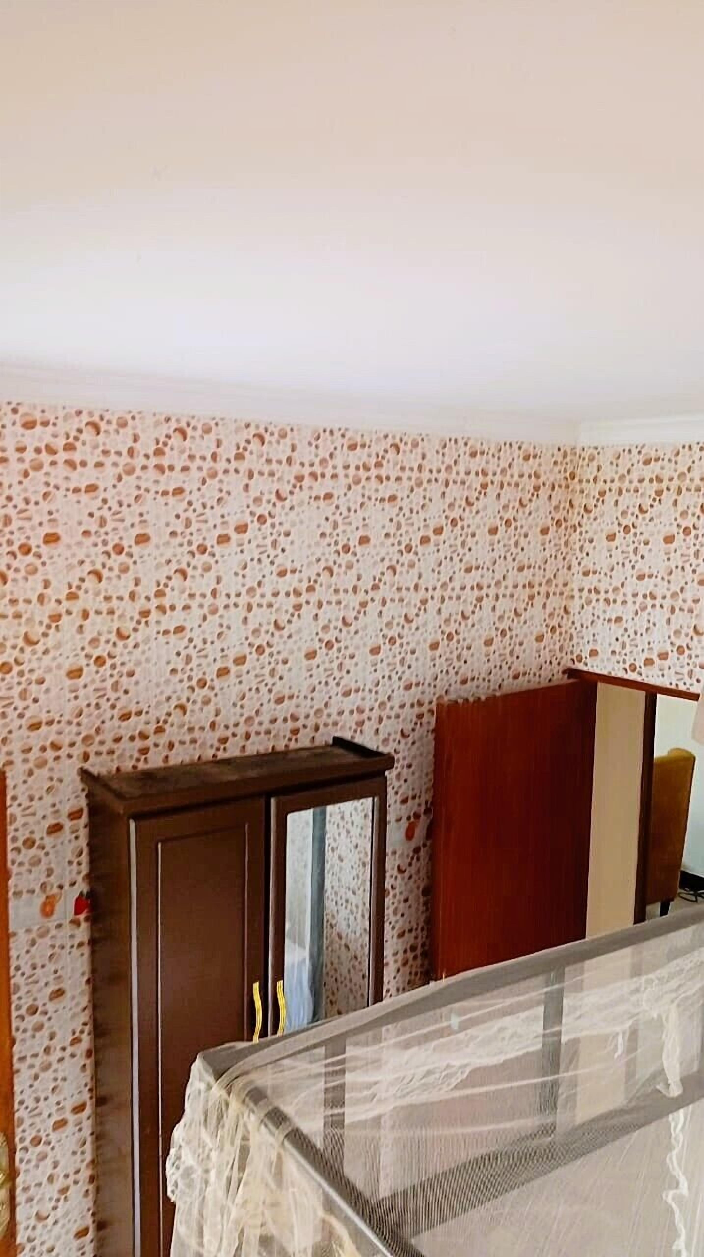A room with a patterned wall, a wooden cabinet, and a bed with a sheer cover.