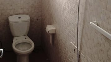 Un baño pequeño con inodoro, ducha y espejo.