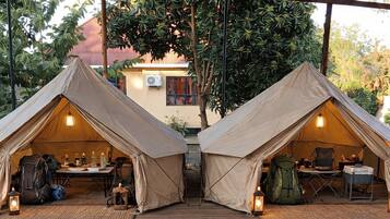 Basic Tent | Free WiFi, bed sheets