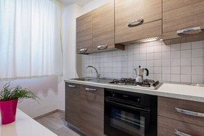 Fridge, oven, stovetop, cookware/dishes/utensils