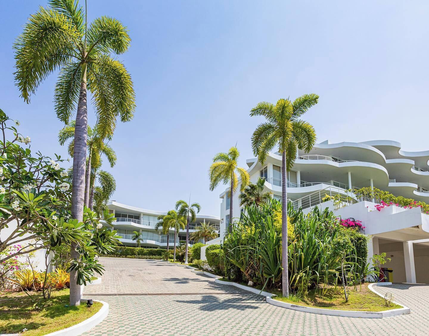 A modern hotel with a curved building, palm trees, and a paved courtyard.