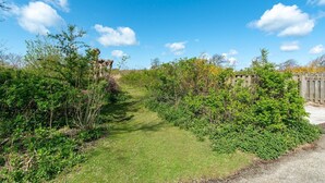 A pathway through a garden with dense foliage on both sides, leading to a wooden fence.