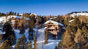 A wooden lodge with multiple balconies, surrounded by snow-covered trees and a clear blue sky. - Lovely chalet with sauna (Turracherhöhe)