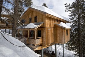 Exterior - Spacious chalet with hot tub (Turracherhöhe)