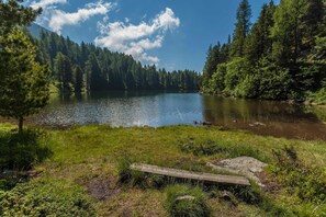 A serene lake surrounded by dense forest and a clear sky. - Chalet in Austria near Ski Lift (Turracherhöhe)