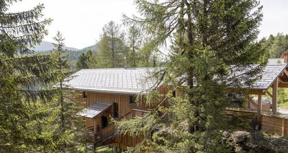 Chalet in Alps near Ski Resort & Forest