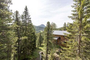 Exterior - Chalet in Alps near Ski Resort & Forest (Turracherhöhe)