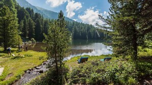 Eine friedliche Uferlandschaft mit einer Holzterrasse und einer Bank mit Blick auf das Wasser, umgeben von dichtem Wald und Bergen im Hintergrund.
