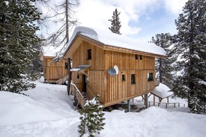 Exterior - Premium chalet with infrared sauna (Turracherhöhe)