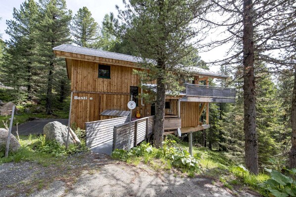Exterior - Modern cottage with whirlpool (Turracherhöhe)