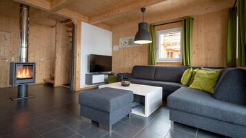 Smart-TV, Kamin