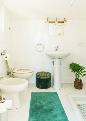 Shower, hair dryer, bidet, towels