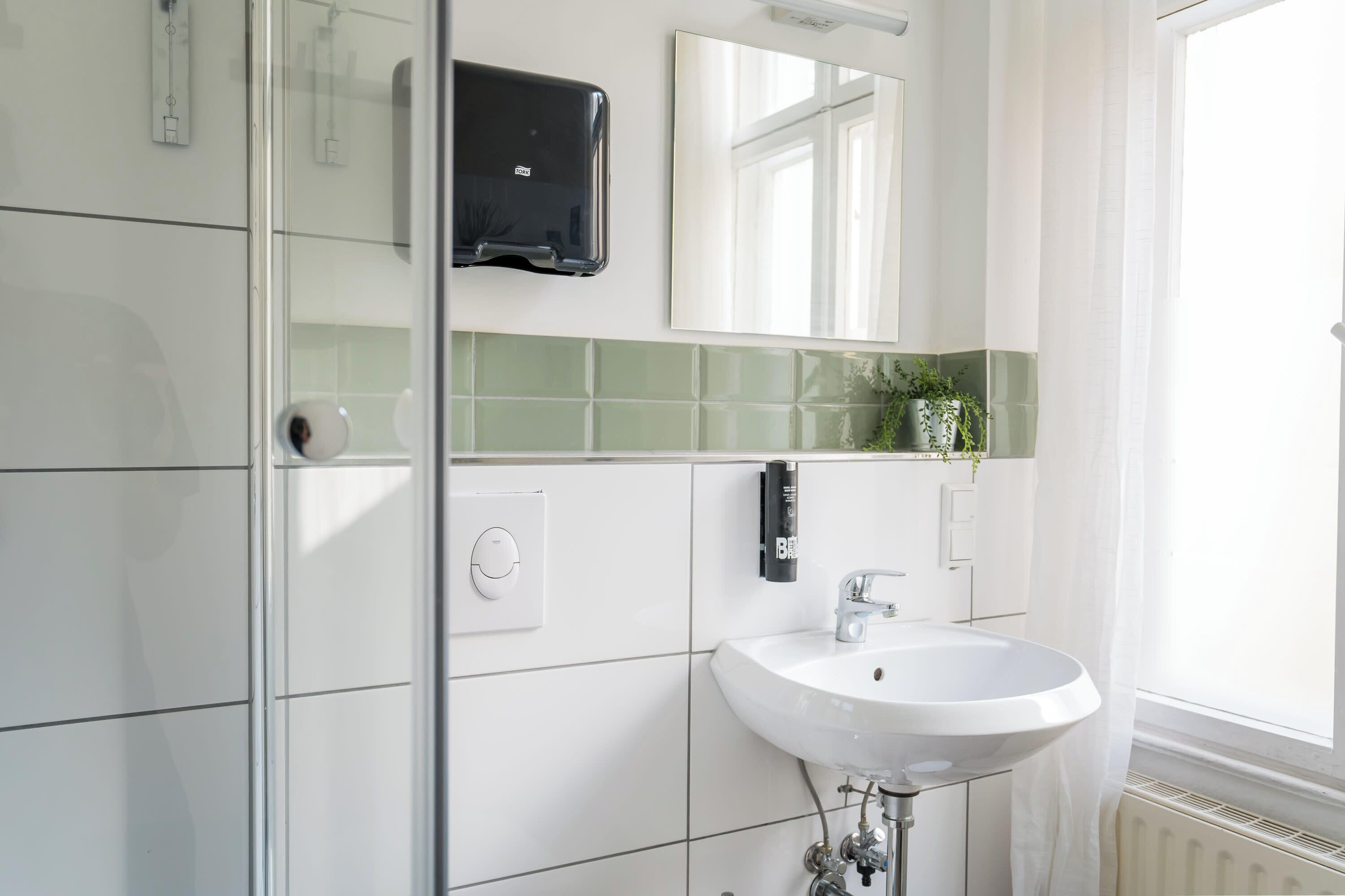 Ein modernes Badezimmer mit Duschkabine aus Glas, Waschbecken in Weiß, einem Spiegel und einer Topfpflanze.