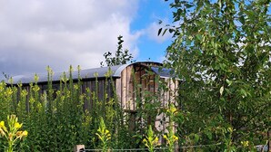 Une grange rustique en bois, surmontée d’un toit en métal, entourée d’une végétation luxuriante et de fleurs sauvages.
