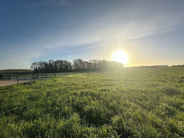 Un campo cubierto de hierba con una cerca y árboles al fondo.