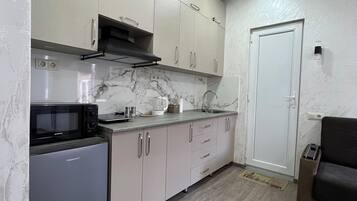Classic Apartment | Private kitchen | Microwave, stovetop, cookware/dishes/utensils