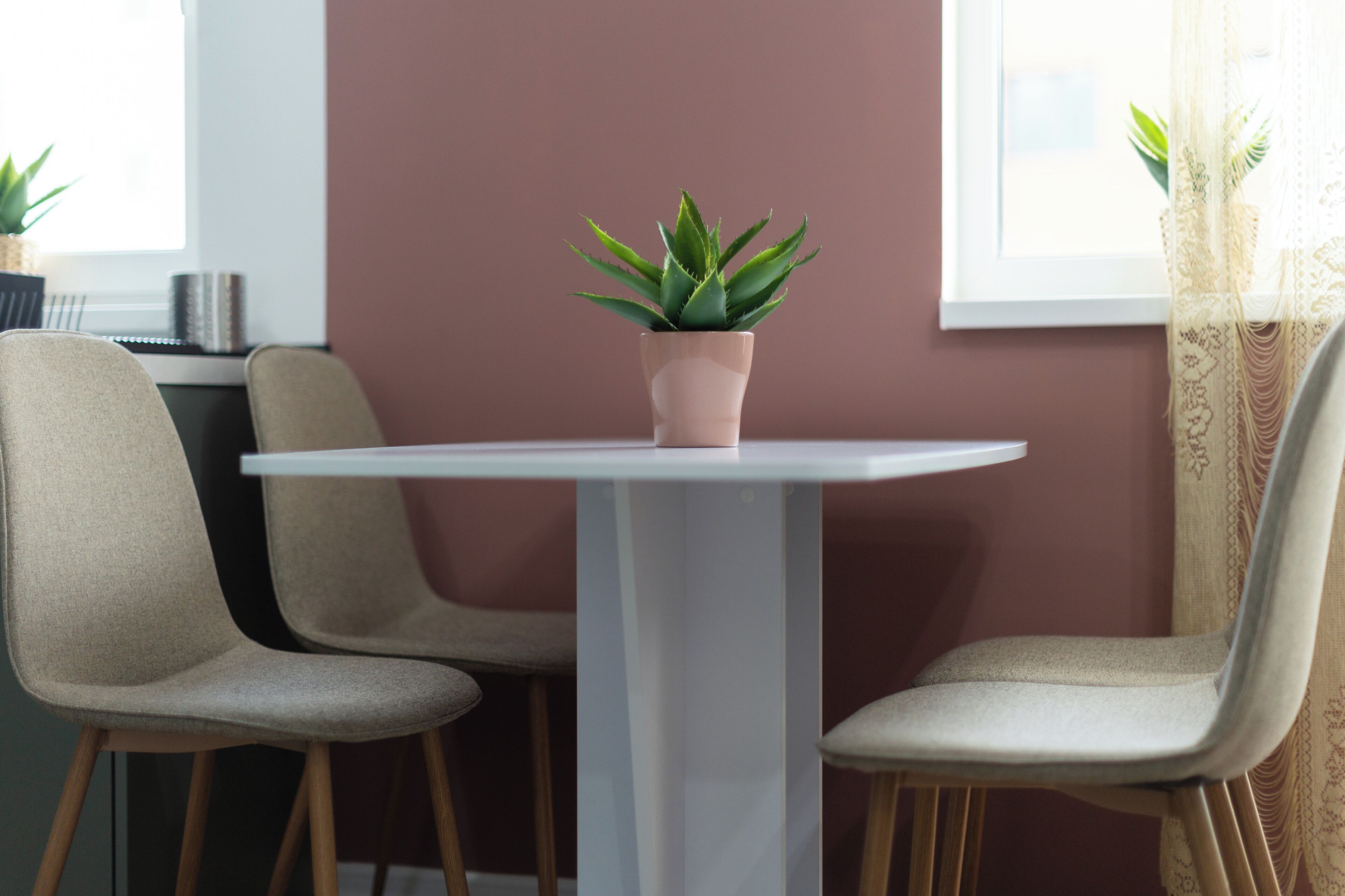 A dining area with a white table, two beige chairs, and a potted plant on the table.