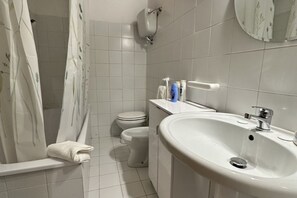 Shower, hair dryer, bidet, towels