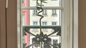 A window with a potted plant. - Holiday apartment in the heart of the old town (Heidelberg)