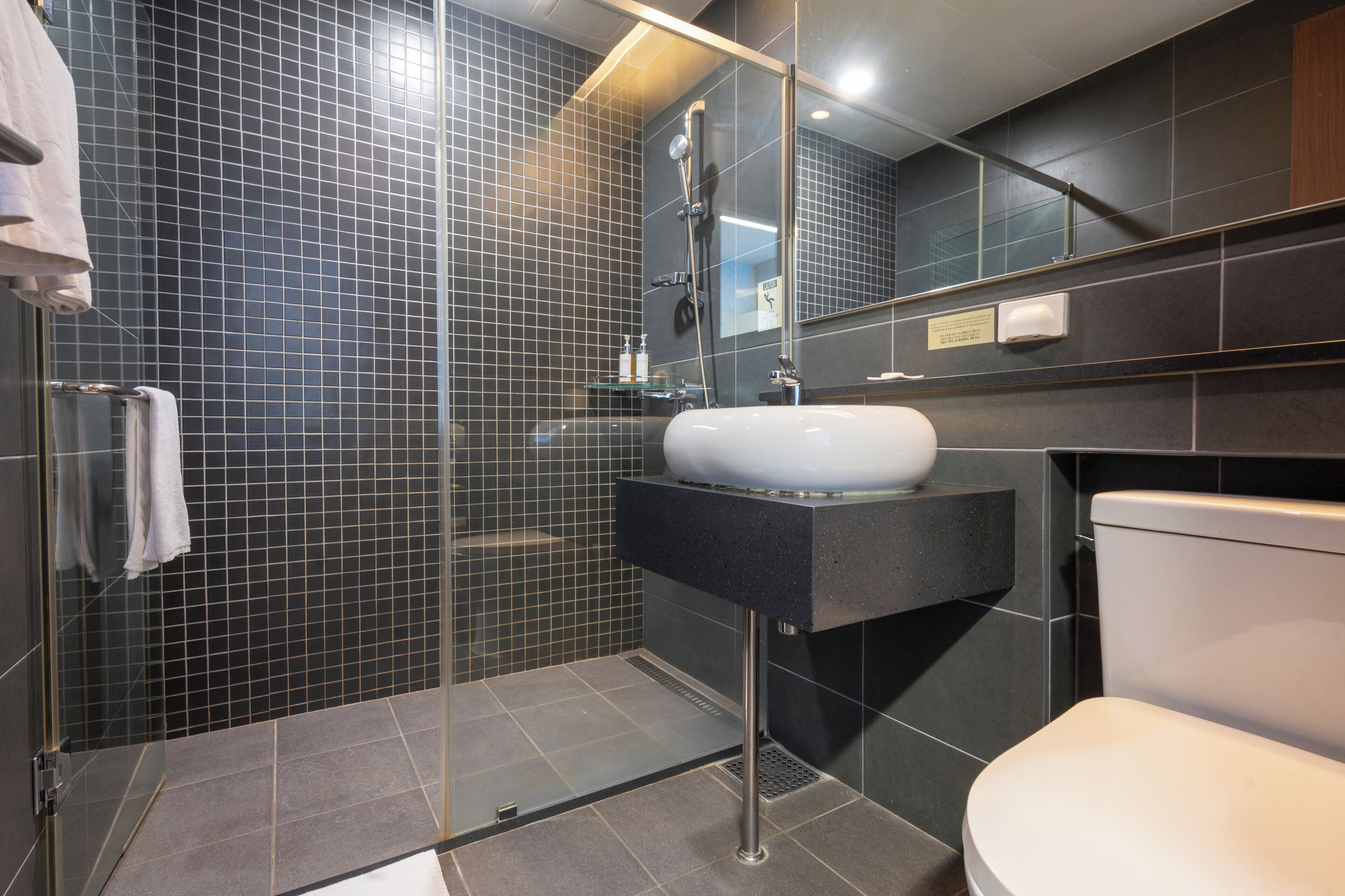 A modern bathroom with a glass-enclosed shower, a white sink, and a toilet.