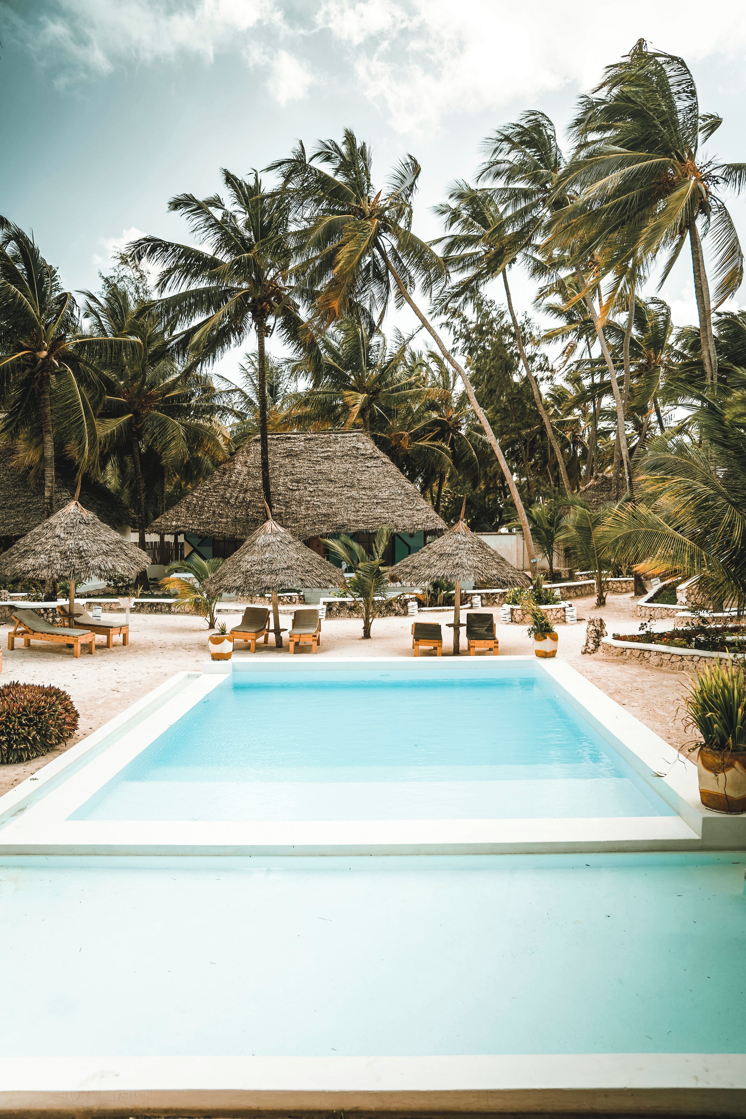 Outdoor pool, pool umbrellas, sun loungers
