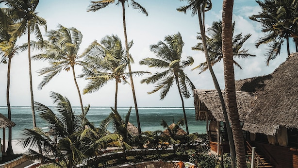 A pool area with a clear view of the ocean, surrounded by palm trees and thatched-roof structures. - Tsunami village  (Bwejuu)