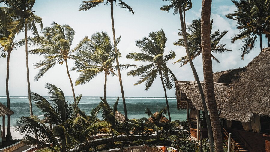 Tsunami village