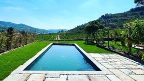 A rectangular pool with a stone border, surrounded by a well-manicured lawn and a vineyard in the background. - Luxury Langhe Pool Vigne Di Fagnano (Santo Stefano Belbo)