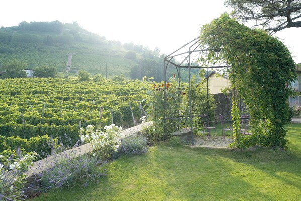 Garden - Luxury Langhe Pool Vigne Di Fagnano (Santo Stefano Belbo)