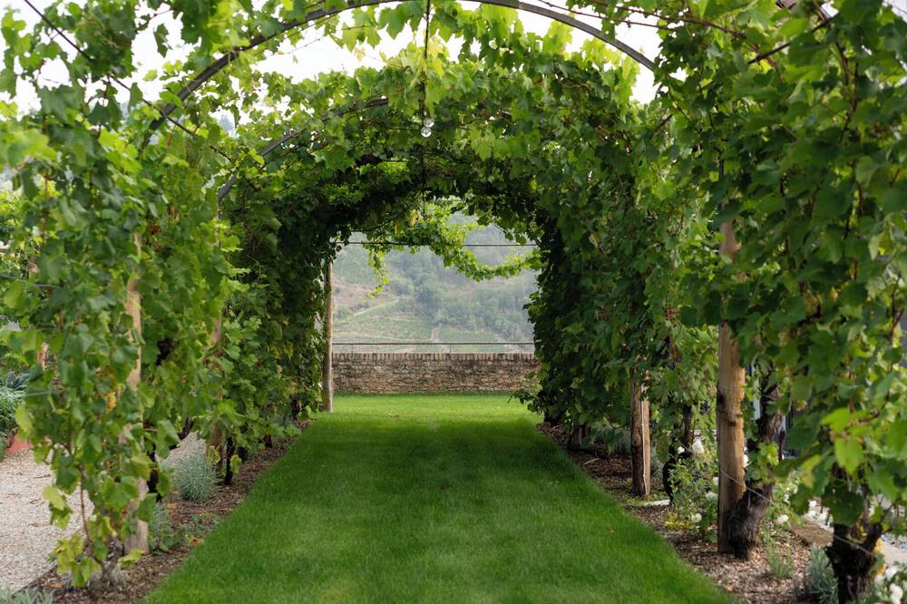 Luxury Langhe Pool Vigne Di Fagnano - Carossi Inferiore