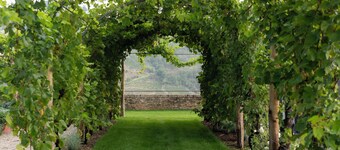 럭셔리 랑게 풀 비녜 디 파냐노