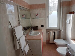 Shower, hair dryer, bidet, towels