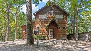 A wooden cabin with a green roof, surrounded by trees.