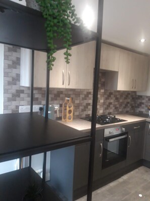 Apartment | Eigene Küche | Kühlschrank, Mikrowelle, Ofen, Herdplatte