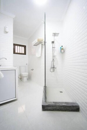 Shower, hair dryer